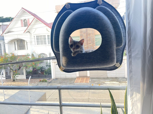 Cama Hamaca Colgante De Ventana Para Gatos Mascota