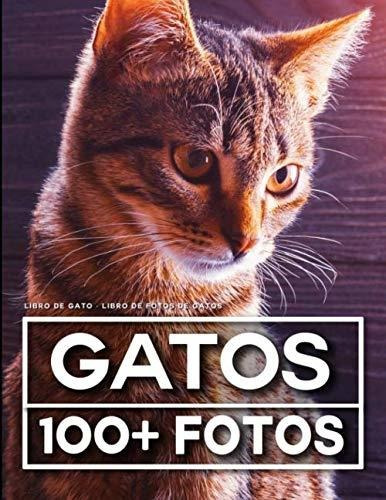 Libro De Gato - Libro De Fotos De Gatos: 100 Hermosas Fotos 