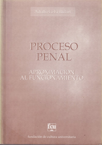 Proceso Penal Aproximacion Al Funcionamiento 