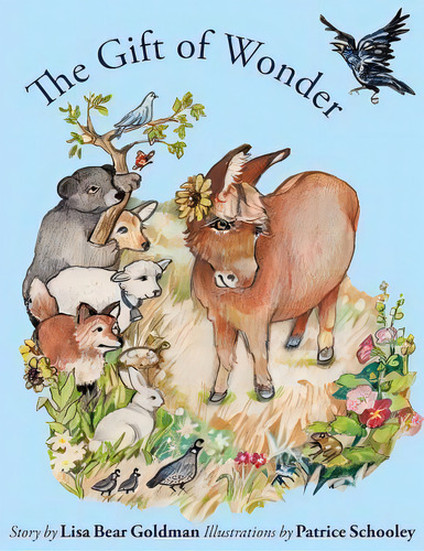The Gift Of Wonder, De Lisa Bear Goldman. Editorial Enchantment Press, Tapa Blanda En Inglés