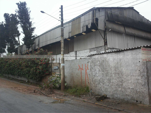 Imagem 9 de 9 de Galpao - Batistini - Sao Bernardo Do Campo - Sao Paulo | Ref.: - 12815