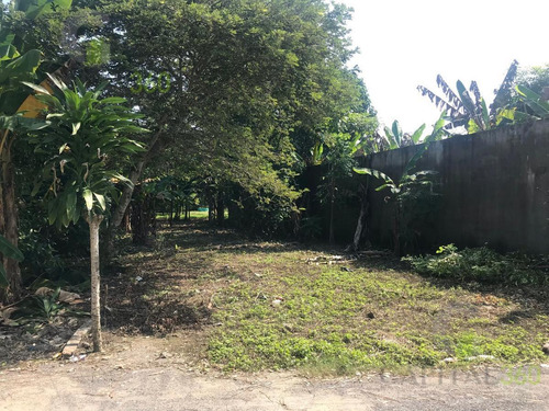 Imagen 5 de 12 de Terreno - El Torito