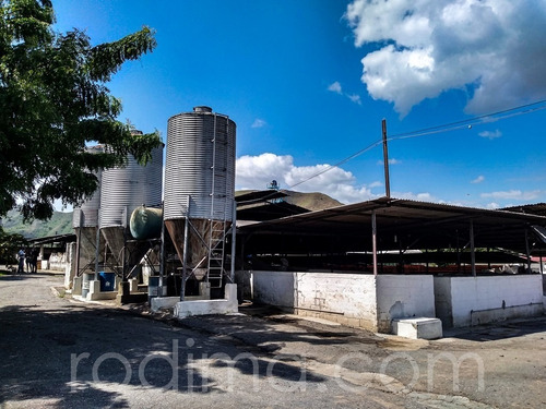 Imagen 8 de 29 de Granja Agrícola Y Porcina Turmero, De 5.7 Hectáreas 04123465023