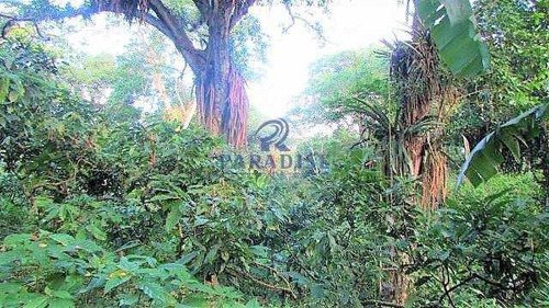 Imagem 24 de 30 de Fazenda Em Itabuna, Frente Para Br 101-160 Ha- R$ 10.000.000,00 - V65800