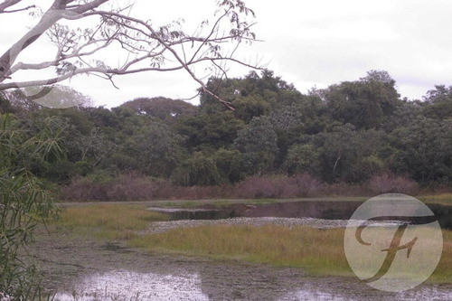 Campo Mixto En Venta - 2.270 Ha En Corrientes Con Gran Potencial Productivo