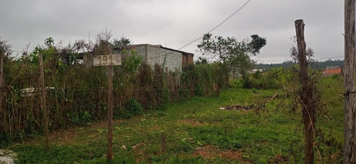Imagem 3 de 6 de Terreno
