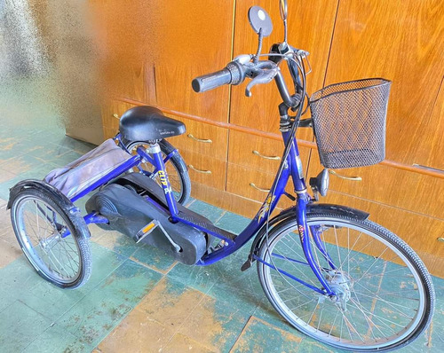 Bicicleta Triciclo Eléctrico Para Adultos 