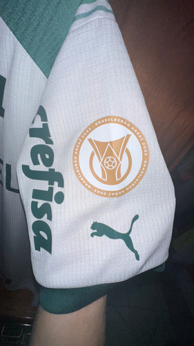 Camisa De Jogo Do Palmeiras Com Marca Dágua Sep (Usado)