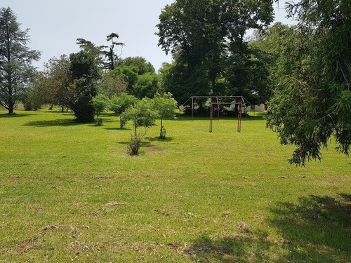 Imagen 5 de 9 de Campo En Venta. Gral Belgrano. Bs As.