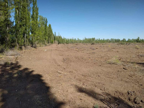 Venta Campo En San Rafael