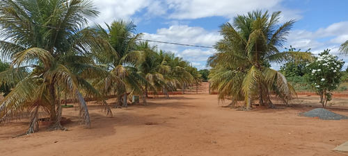 Sítio Com 2 Casas, Água, Internet E Energia - Manga-mg - Ideal Para Lazer Ou Criação