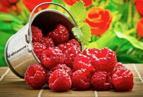 Imagem 7 de 7 de 15 Sementes De Framboesa Gigante Red Raspberry Rubus P/mudas