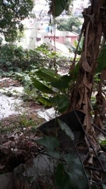 Imagem 2 de 7 de 03283 - Terreno, Jardim Bonfiglioli - São Paulo/sp - 3283