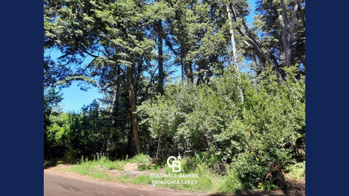Imagen 2 de 13 de Venta Lote/terreno 1517 M2 Altos De Manzano Villa La Angostura