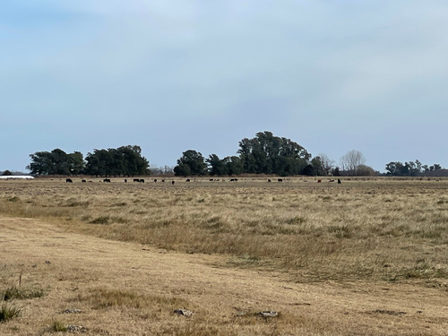 Imagen 5 de 11 de 66 Hectareas En Venta Sobre Ruta 29