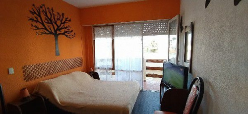 Imagen 5 de 16 de Departamento En Venta En Centro