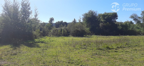 Parcela En Venta En Sector Las Ñipas En Santa Bárbara