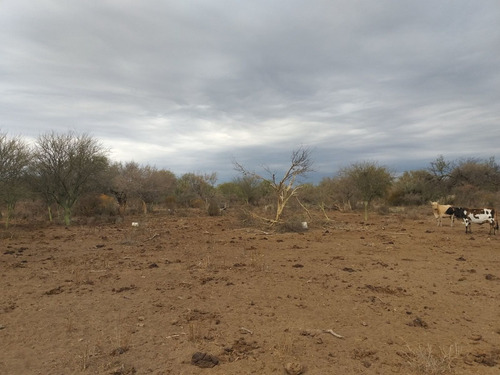 Imagen 5 de 5 de Vendo 380 Hectareas En Paso Viejo, Zona Cruz Del Eje
