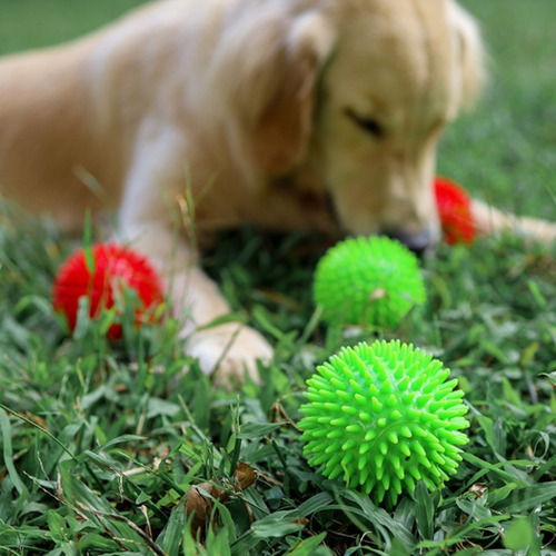 Imagen 6 de 6 de Juguete Pelota Mordedera Limpieza Dental Con Sonido Perro