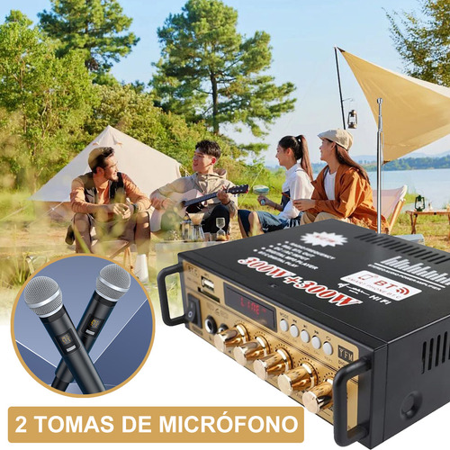 Amplificador De Audio Hifi Bluetooth Para Casa/auto Alta Fidelidad Aux/fm/tf/usb 2 Canales Con 2 Tomas De Micrófono Con Función De Echo Lujo Dorado