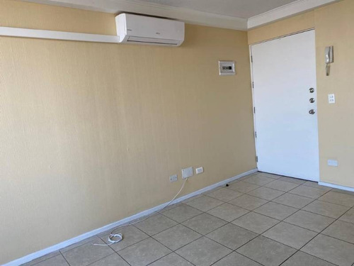 Imagen 5 de 18 de ¡aquí Está Lo Que Estabas Buscando En La Comuna De La Granja