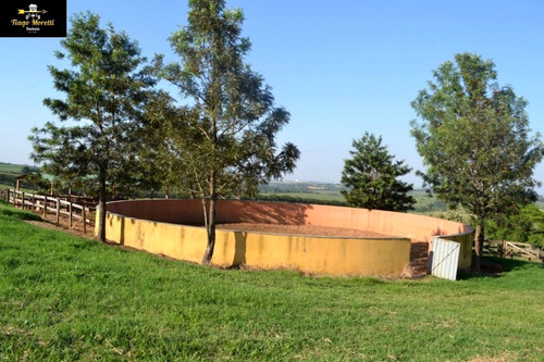 Excelente Haras Em Piquerá Porto Feliz-sp À Venda - Ha00001 - 69229779