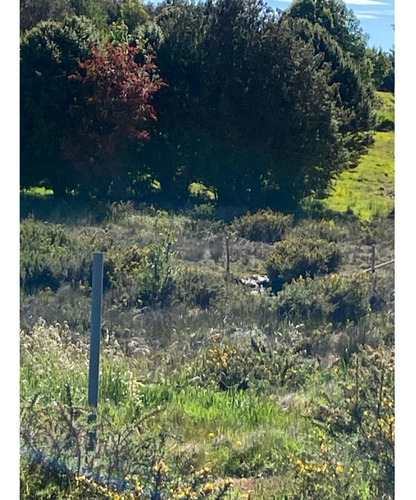 Se Vende Hermosa Casa En Una Parcela En Chiloé