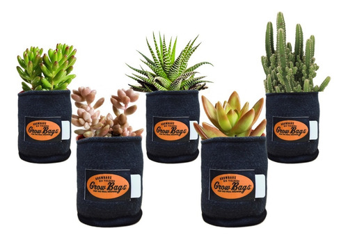 Imagen 2 de 10 de Mejor Maceta Tipo Smartpot Geotextil 3 Litros