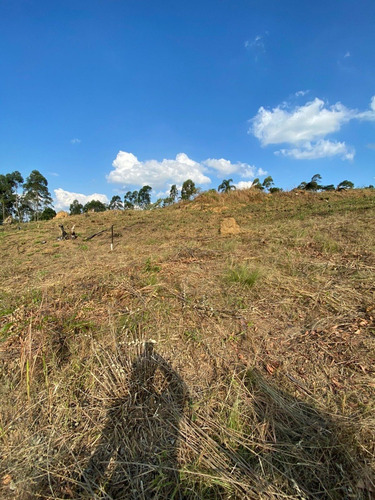 Imagem 8 de 18 de R8- Parcelamos Em 60x Sem Juros Seu Terreno Agende Sua Visita