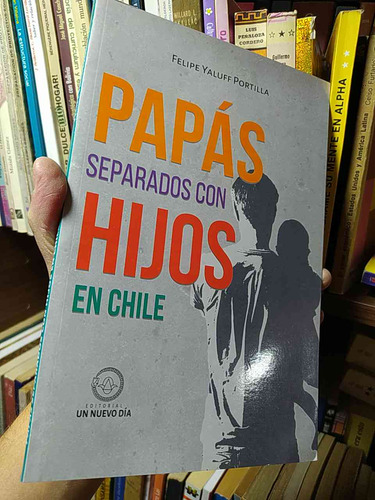 Papás Separados Con Hijos En Chile  Felipe Yaluff Portilla  