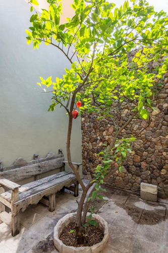 Single Level Charming Retreat