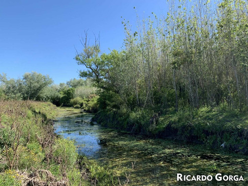 Venta Chacra Terreno Campo Canelones Villa Guadalupe Ruta 5