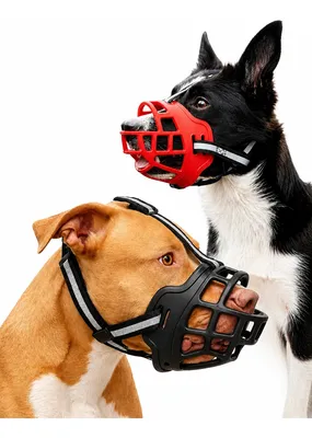 Focinheira Para Cães Ajustável Pitbull Tamanho Pp Ao Xg Preto Gg