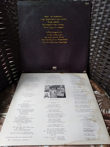 Lp Sinead O Connor I Do Not Want What Edição Original Encart (Usado)