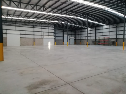 Bodega En Renta En Bulevar Centenario Torreón