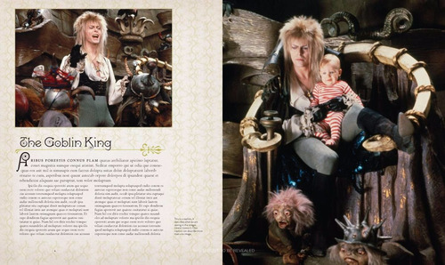 Livro - Labyrinth The Ultimate Visual History