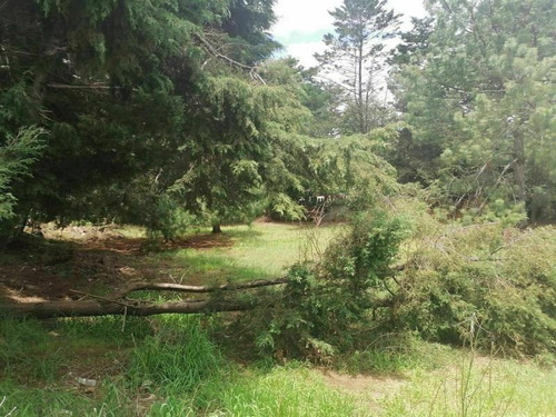 Imagen 5 de 10 de Terreno En Venta Los Alcanfores
