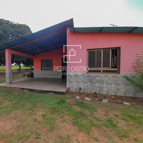 Imagen 2 de 18 de Pedro Castro Inmobiliaria Vende Finca Ubicada En San Jacinto, Ciudad Guayana #crecimientoagricola #agricultura #casacampo #descanso #familia