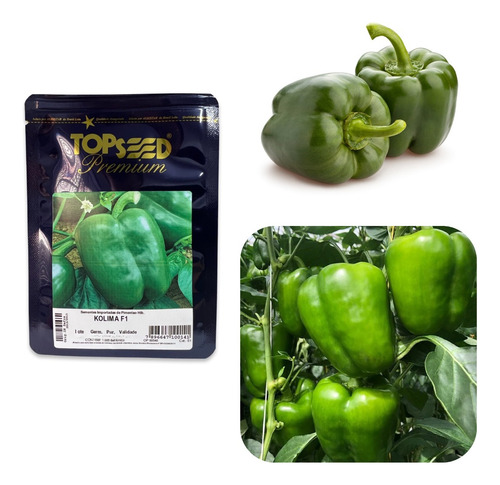 Sementes De Pimentão Verde Vermelho Híb. Blocky Kolima F1