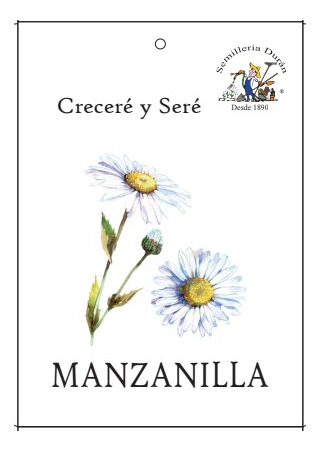 Semillas De Manzanilla