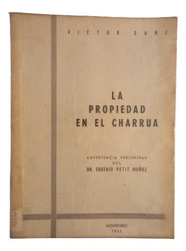 La Propiedad En El Charrúa - Víctor Sanz