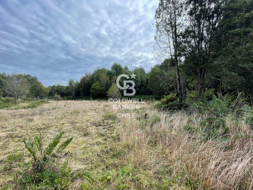 Parcela 5.750 M² Con Bosque Nativo, Cerca De Puerto Varas