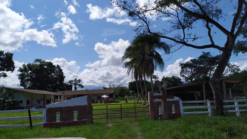 Vendo Excelente Finca San Martin Meta, 36 Hectareas