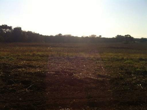 Imagen 5 de 8 de Terreno En Venta