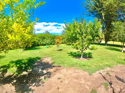 Parcela Con Casa De 5.500 M2 En Chiñigue, El Monte