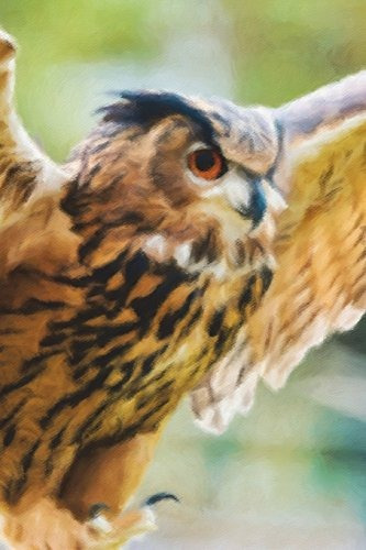 Eagle Owl In Flight  Lined Notebook With Margins 101 Pages, 