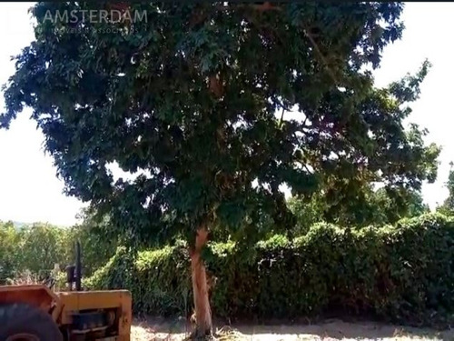 Imagem 14 de 30 de Sitio A Venda Em Limeira - St00005 - 69551023
