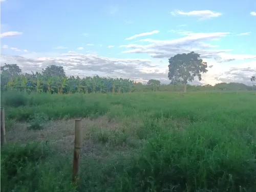 Se Venden Lotes Montenegro Quindío