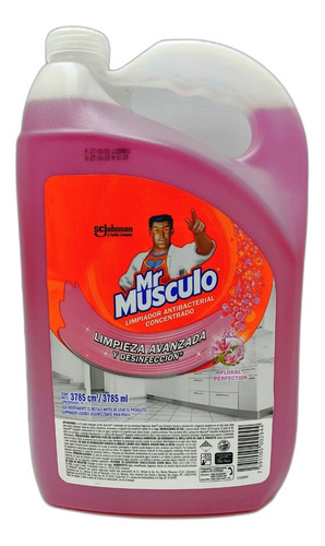 Imagen 1 de 1 de Bulto 4 Limpiador Floral Perfect 3.78lt Mr Musculo 0554 Maxi