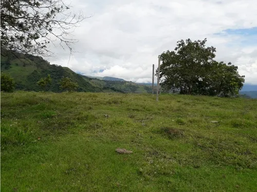 Se Vende Lote En Sanjeronimo (antioquia) 20 Hectáreas + 8.000 Mtr2